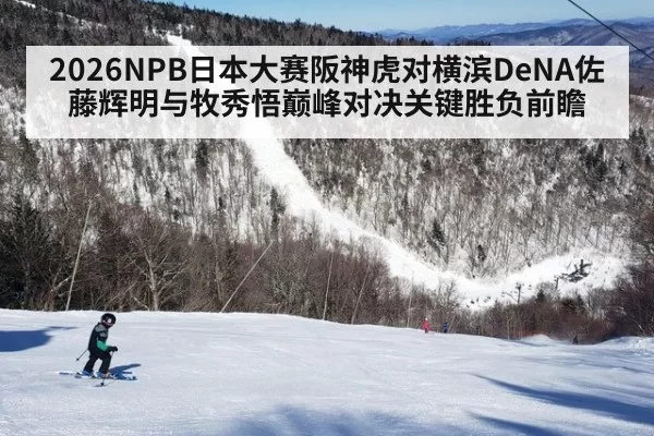 2026NPB日本大赛阪神虎对横滨DeNA佐藤辉明与牧秀悟巅峰对决关键胜负前瞻